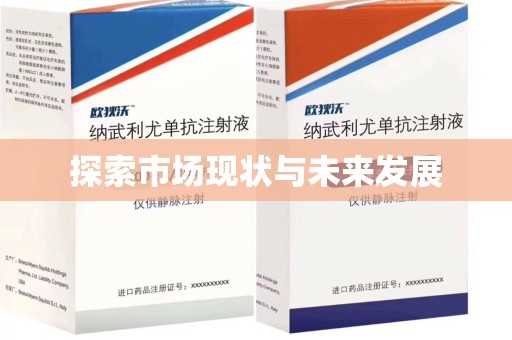 昆明探索市场现状与未来发展
