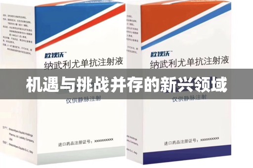 昆明机遇与挑战并存的新兴领域